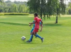 揭秘法甲赛,场幕后风云,剧情高潮迭,华体会体育娱乐官网,华体会体育娱乐官网入口,华体会体育娱乐网站,华体会体育娱乐,华体会体育娱乐登录入口