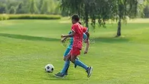 揭秘法甲赛场幕后风云：剧情高潮迭起，真相渐露端倪！