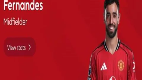 华体会体育娱乐