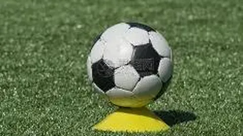 华体会体育娱乐