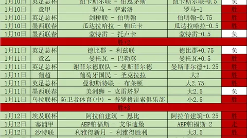 华体会体育娱乐